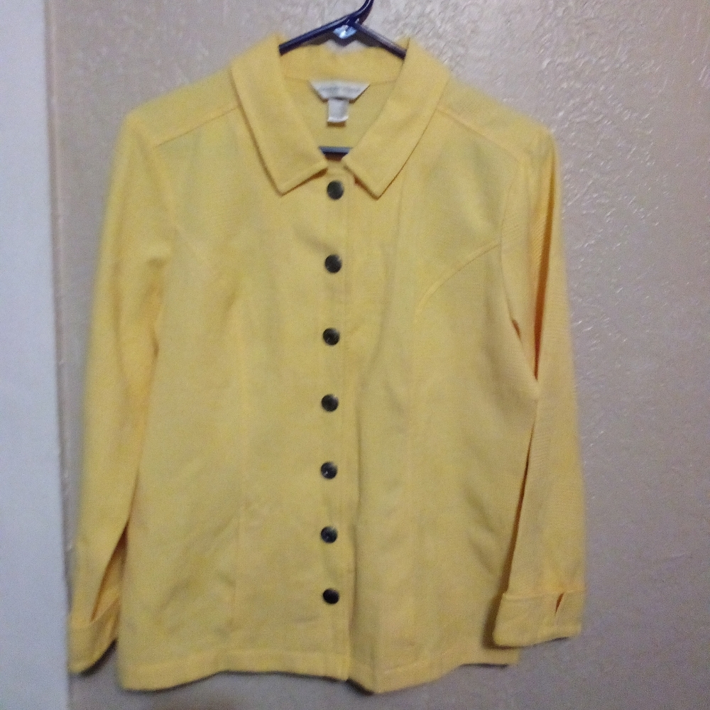 Christopher and Banks long sleeve dress shirt